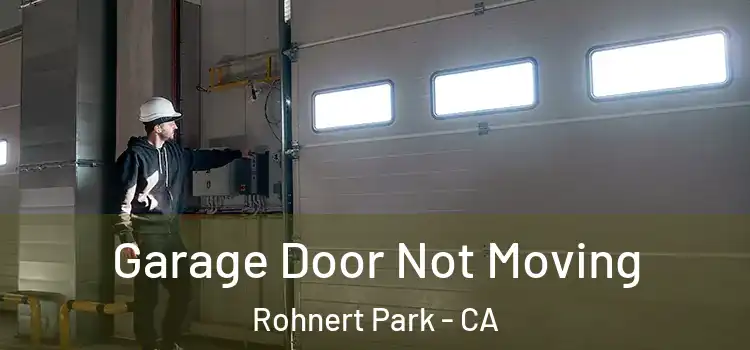  Garage Door Not Moving Rohnert Park - CA