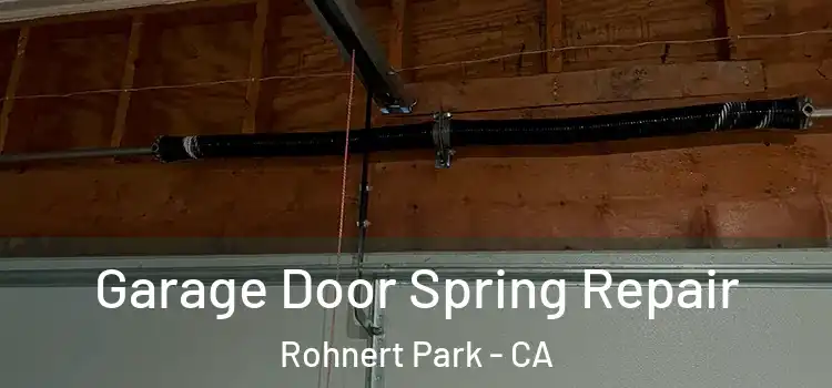  Garage Door Spring Repair Rohnert Park - CA